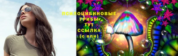 крисы Бугульма
