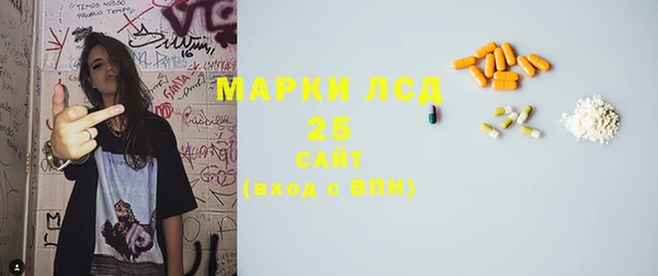 прущие грибы Бородино