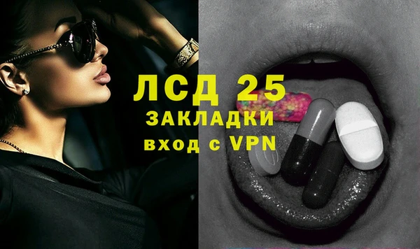 прущие грибы Бородино