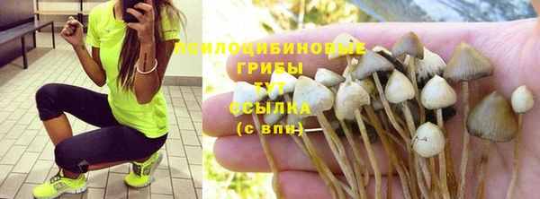 крисы Бугульма