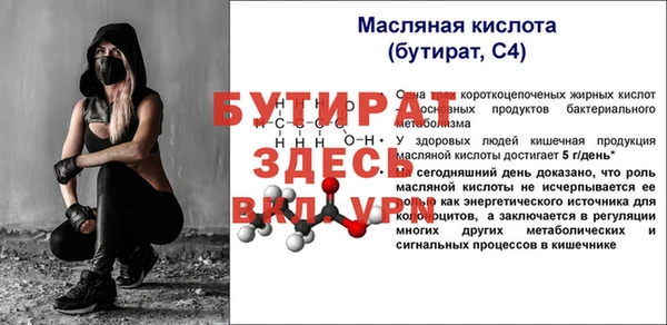 прущие грибы Бородино