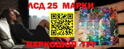 амф Кимры