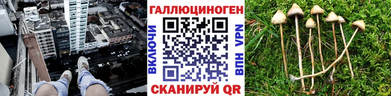 Галлюциногенные грибы MAGIC MUSHROOMS  где купить наркоту  Зима 