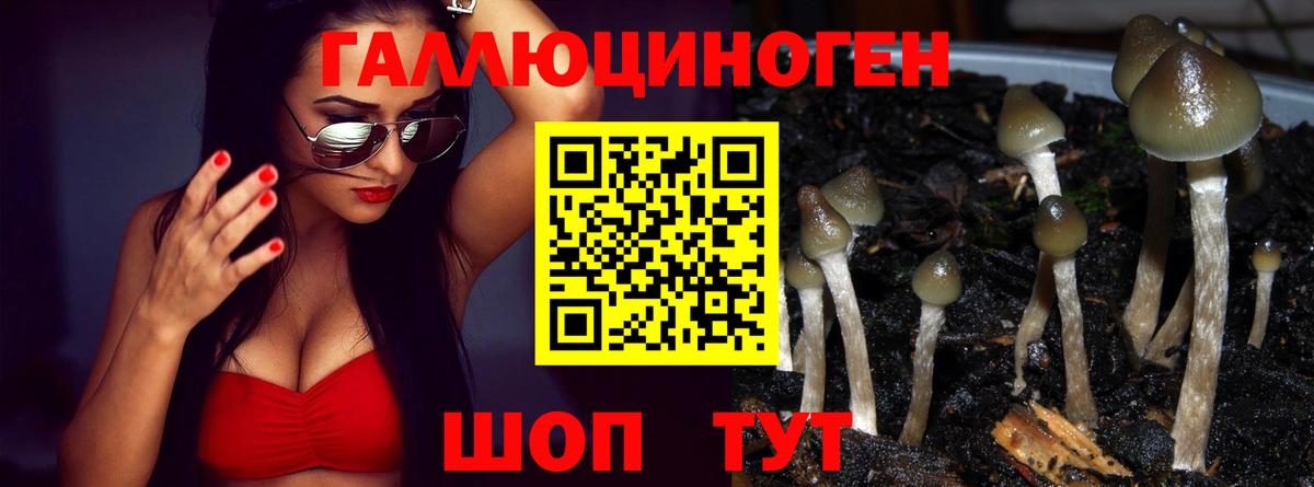 Зима  Псилоцибиновые грибы GOLDEN TEACHER  Вход с VPN 