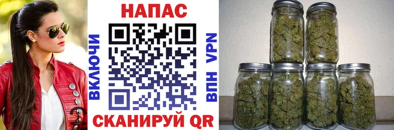 Шишки марихуана White Widow  Зима 